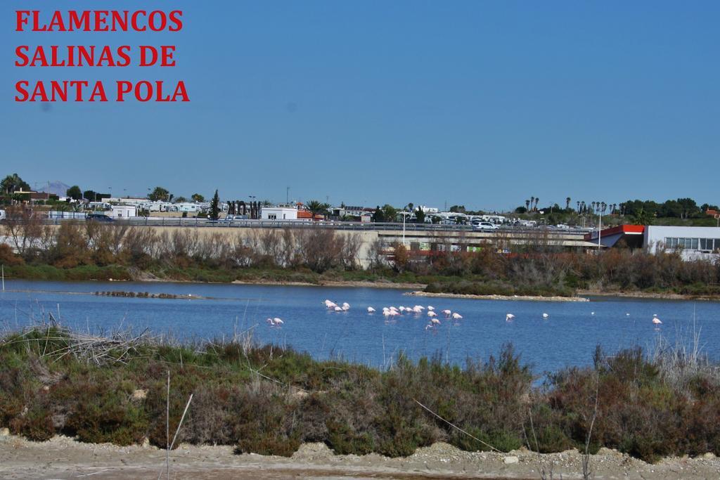Estudio Marina De Santa Pola Exteriör bild
